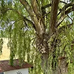 Maison Bourbonnaise Idéalement Placée Proche Du Centre De Moulins Hébergement de vacances *