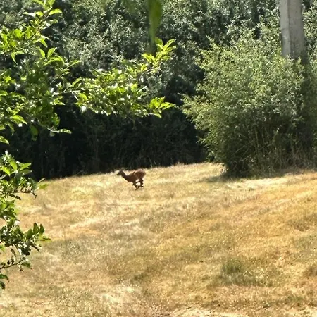Maison Bourbonnaise Idealement Placee Proche Du Centre De Moulins 度假居