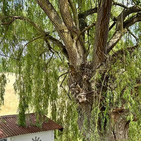 Maison Bourbonnaise Idealement Placee Proche Du Centre De Moulins 度假居 *